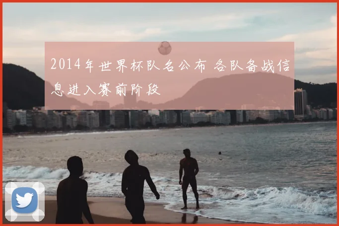 2014年世界杯队名公布 各队备战信息进入赛前阶段