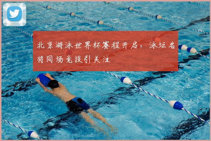 北京游泳世界杯赛程开启，泳坛名将同场竞技引关注